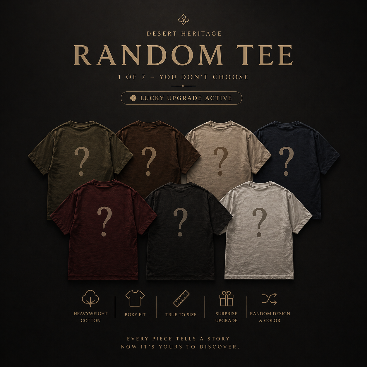 MYSTERY TEE — DESERT HERITAGE CAPSULE